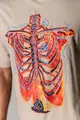 Camiseta MCD Regular Esqueleto Raio X