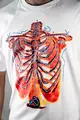 Camiseta MCD Regular Esqueleto Raio X